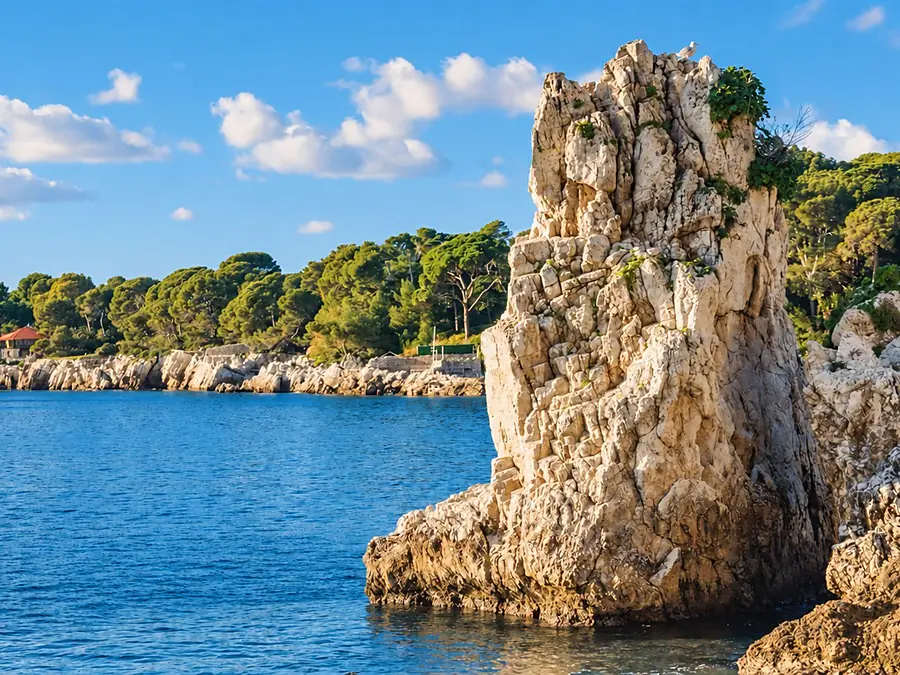 Un rocher calcaire dressé au-dessus de l’eau claire d’une crique du Cap d’Antibes, avec les pins du rivage