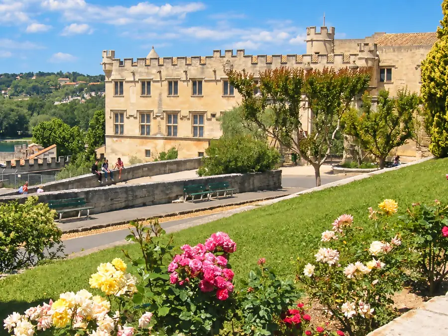 Le Petit Palais vu du jardin du Rocher des Doms, des roses au premier plan
