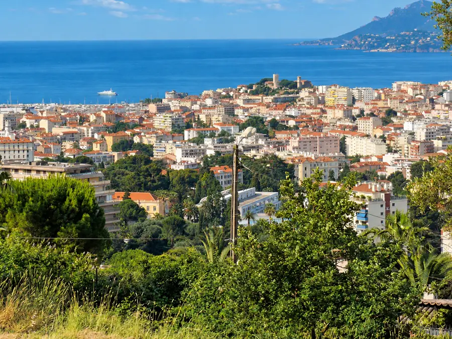 Les toits de Cannes vus des hauteurs, entre les pins et les palmiers, avec la mer et l’Esterel au loin