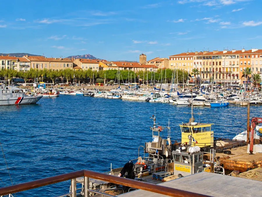 A marina lined with plane trees and ocher facades, an old tower in the background
