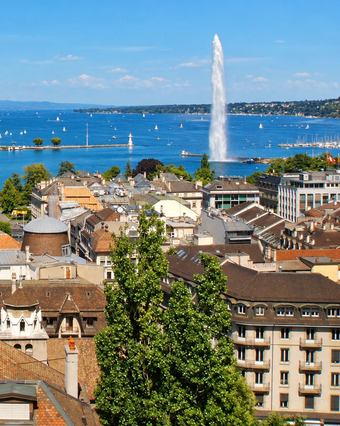 Geneva’s harbor and the Jet d’Eau, above the rooftops of the Old Town