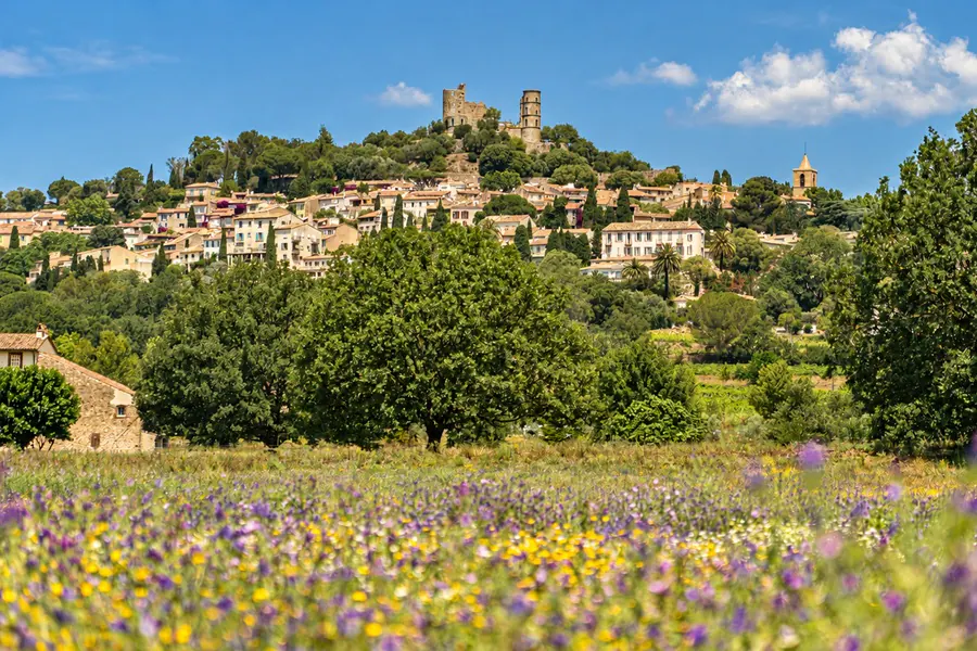 Le village perché de Grimaud et les ruines de son château, au-dessus d’un champ fleuri