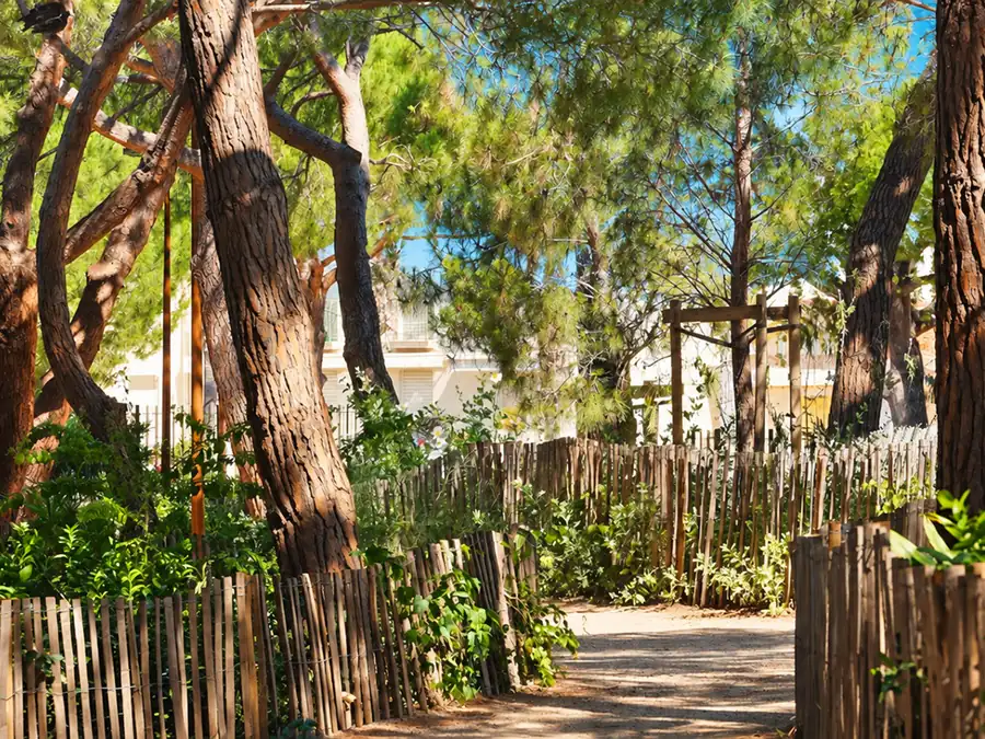 Une allée ombragée entre les pins et les barrières de bois, à Juan-les-Pins