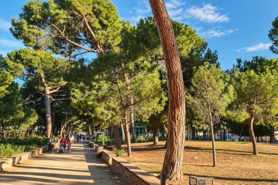 La Pinède in Juan-les-Pins, its tall umbrella pines and its shaded path