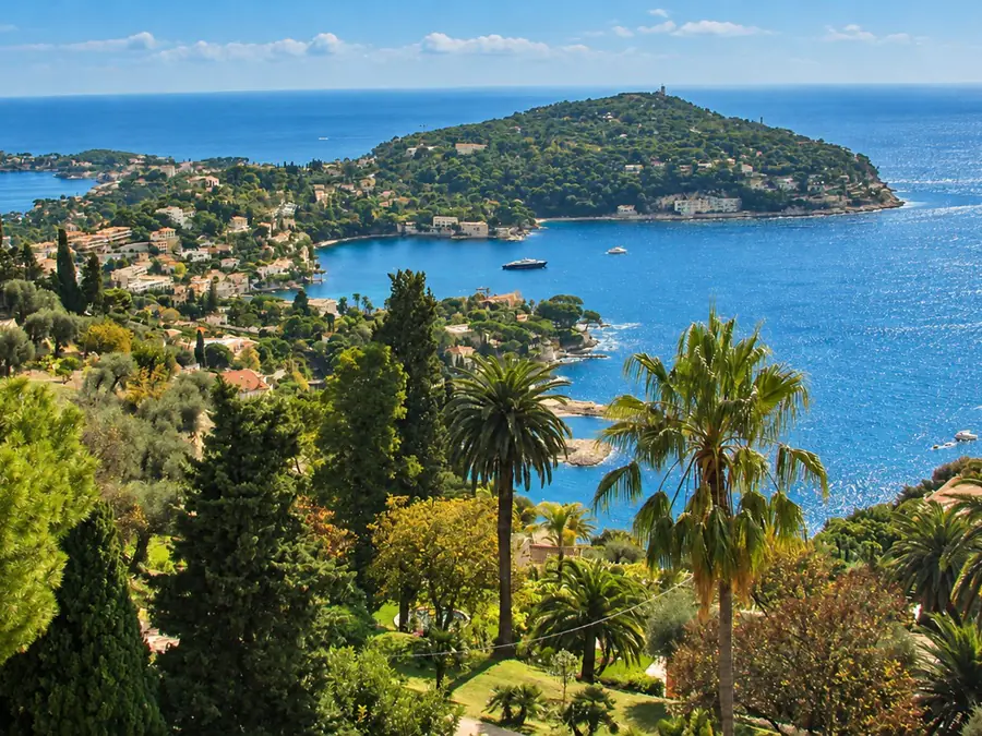 La presqu’île du Cap-Ferrat vue des hauteurs, entre les pins et les palmiers, au-dessus de la mer