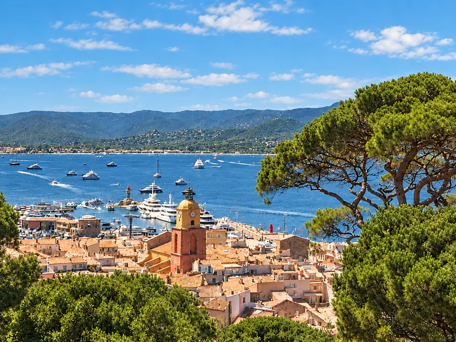 View between umbrella pines of the rooftops, bell tower and harbor of Saint-Tropez, with the bay and the hills beyond