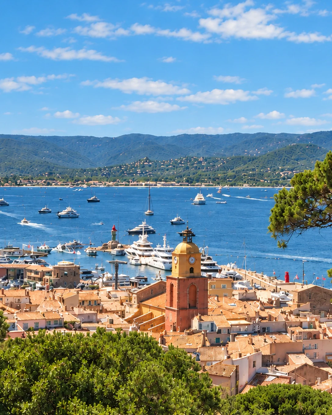 Vue entre les pins parasols sur les toits, le clocher et le port de Saint-Tropez, avec la baie et les collines au loin