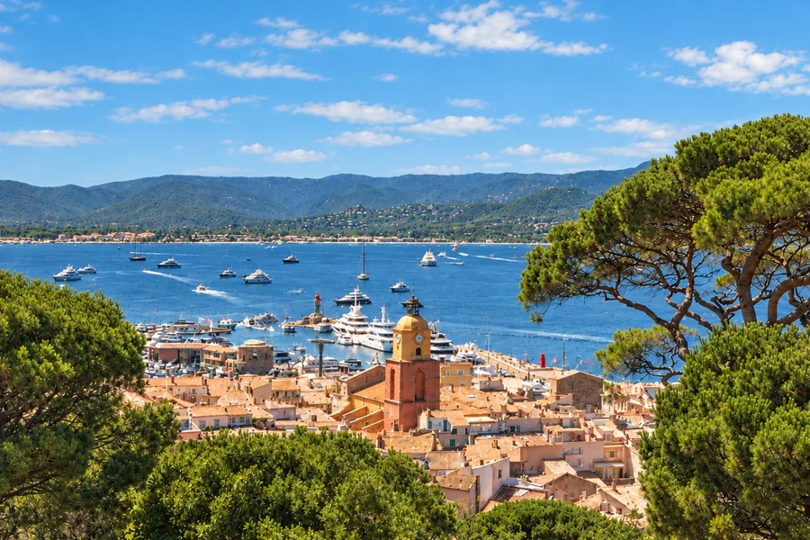 Vue entre les pins parasols sur les toits, le clocher et le port de Saint-Tropez, avec la baie et les collines au loin