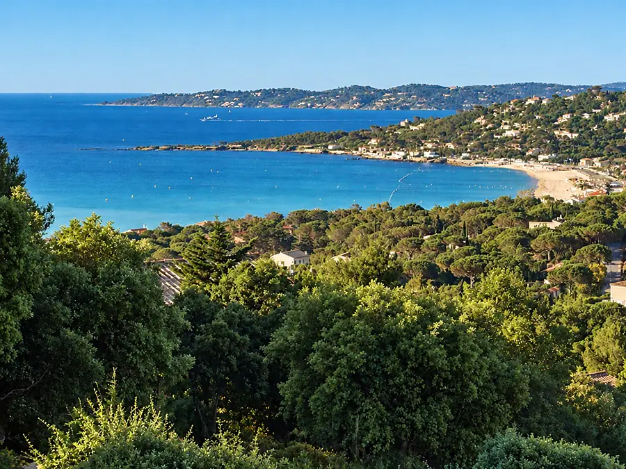 La baie et sa plage de sable vues des hauteurs de Sainte-Maxime, entre les pins et les maisons